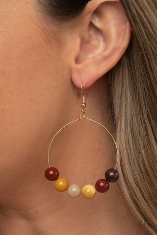 Let It Slide - Multi earrings Paparazzi